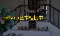 prisma艺术相机中文版